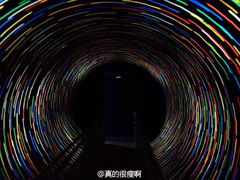 -贝壳梦幻世界
