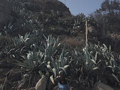 -漳州滨海火山岛自然生态风景区
