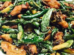 尖椒鸡-蔼若春.传承三十年云南菜(金碧公园店)