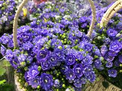 -三旗百汇商品城