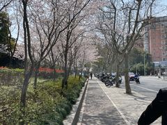 -黄兴公园
