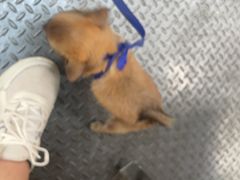 -偏爱炒鸡(老县衙店)