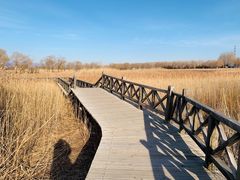 -野鸭湖国家湿地公园
