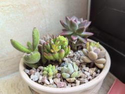 -喜宝母婴月子会所