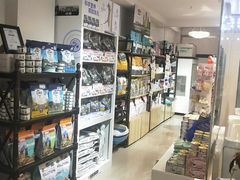 -70cat德文卷毛猫·缅因猫纯种猫舍