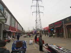 -中环花鸟鱼虫市场