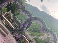 -灵溪风景区