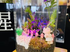 -奔驰上海利星(七宝店)