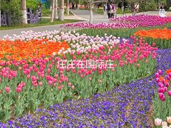 -石家庄市植物园