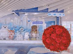 -湘江欢乐城欢乐雪域