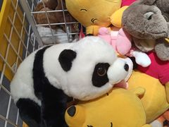-KKV(上海月星环球港店)