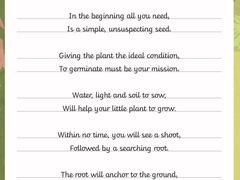 -上海德威外籍人员子女学校(浦东校区)