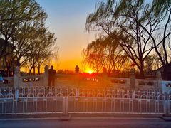 -姚记炒肝店(鼓楼店)