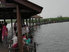 -太湖湖滨国家湿地公园-停车场