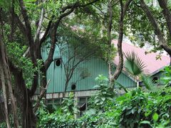 -晓港公园