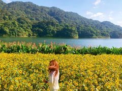 -广州市石门国家森林公园