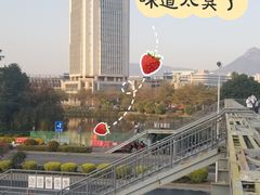 -华侨大学(厦门校区)