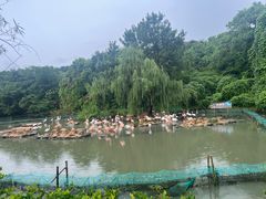 -宁波野生动物园