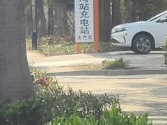 -亚龙湾站