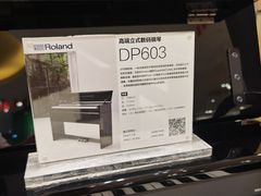 -柏斯琴行(汾阳店)