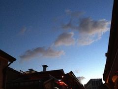 -金翼跆拳道巴西柔术拳击格斗学院