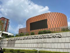 -中国宋庆龄青少年科技文化交流中心