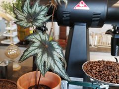 -中国油画院咖啡馆