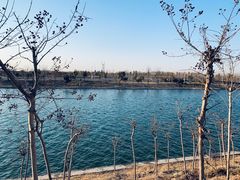 -北龙湖湿地公园