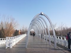 -大兴滨河森林公园