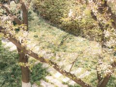 -东南大学(九龙湖校区)