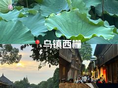 -乌镇西栅景区