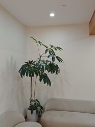 -HEYAN荷妍专业脱毛连锁机构
