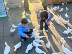 -天津妈祖文化园