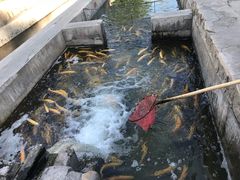 -北京水岸山吧度假村(雁栖镇店)