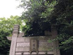 -普陀山慧济禅寺