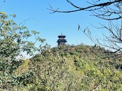 -杭州半山国家森林公园