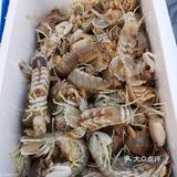 调匀 5.装盘，开吃啦，我自己一顿就能吃一盘