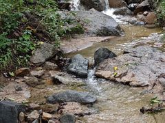 -大岭沟猕猴桃谷风景区