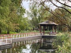 -同里国家湿地公园