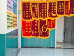-乖乖宠物医院·猫科·急重症中心(车站北路分院)