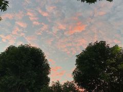 -嘉庚体育馆