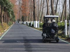 -合肥滨湖国家森林公园