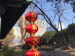 -白家大院·王府宫廷菜(苏州街店)