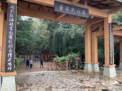 -北海金海湾红树林生态旅游区