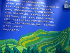 -贵凤凰贵州米粉(望京店)