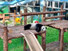 -大连森林动物园