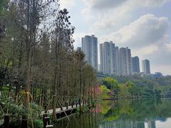 -重庆彩云湖湿地公园