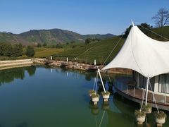 -帐篷客·溪龙茶谷度假酒店