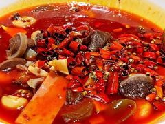 精品海鲜毛血旺-青年公社烤鸭(青年路店)