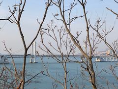 景点-星海湾跨海大桥